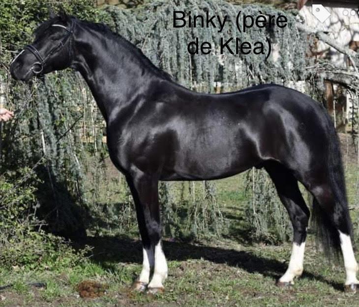 Binky2
